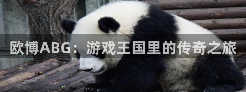 天顺娱乐2登录：欧博ABG：游戏王国里的传奇之旅