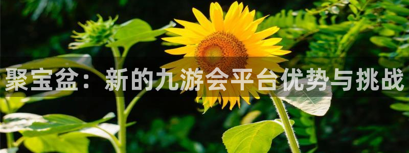 德国天顺娱乐集团：聚宝盆：新的九游会平台优势与挑战
