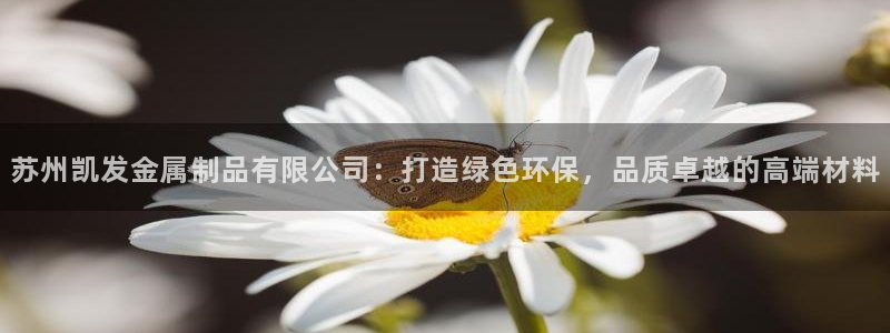 天顺娱乐凯捷平台：苏州凯发金属制品有限公司：打造绿色环保，品质卓越的高端材料