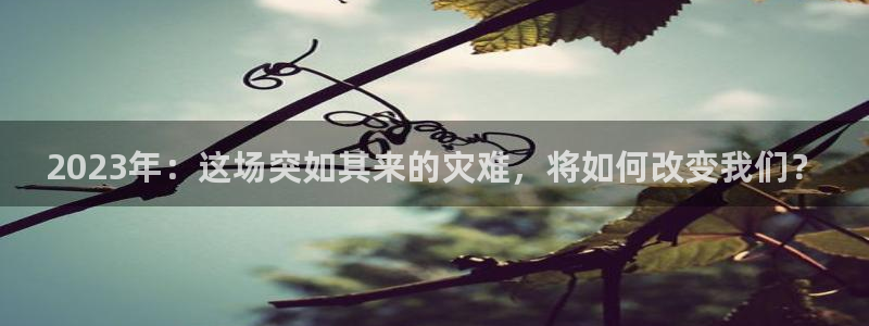 天顺娱乐平台主管：2023年：这场突如其来的灾难，将如何改变我们？