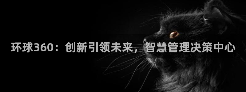 天顺娱乐4平台：环球360：创新引领未来，智慧管理决策中心