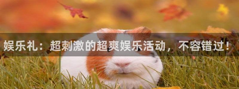 天顺娱乐体育1招商：娱乐礼：超刺激的超爽娱乐活动，不容错过！