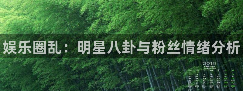 天顺娱乐体育平台总代理：娱乐圈乱：明星八卦与粉丝情绪分析