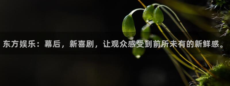 www.天顺娱乐体育.com：东方娱乐：幕后，新喜剧，让观众感受到前所未有的新鲜