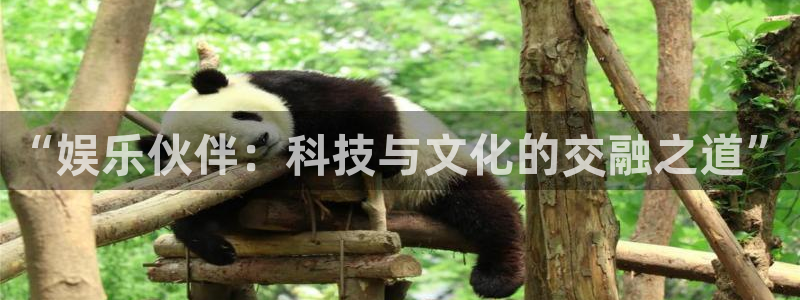 天顺娱乐凯捷平台注册链接：“娱乐伙伴：科技与文化的交融之道”