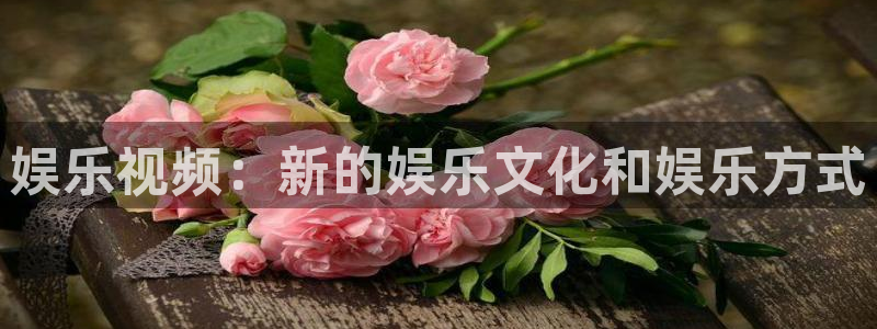 天顺娱乐零能源集团：娱乐视频：新的娱乐文化和娱乐方式