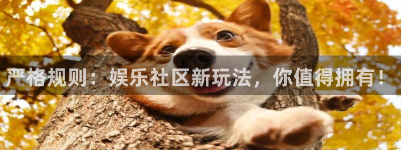 天顺娱乐2体育登录入口：严格规则：娱乐社区新玩法，你值得拥有！