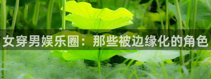天顺娱乐登录注册：女穿男娱乐圈：那些被边缘化的角色