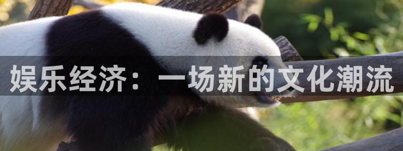 天顺娱乐招商：娱乐经济：一场新的文化潮流