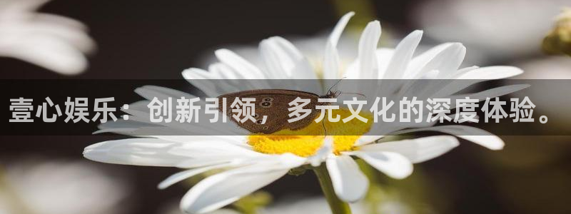 天顺娱乐体育老板是谁：壹心娱乐：创新引领，多元文化的深度体验。