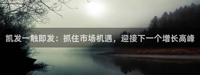 佛山市南海天顺娱乐机电仪器有限公司：凯发一触即发：抓住市场机遇，迎接下一个增长高