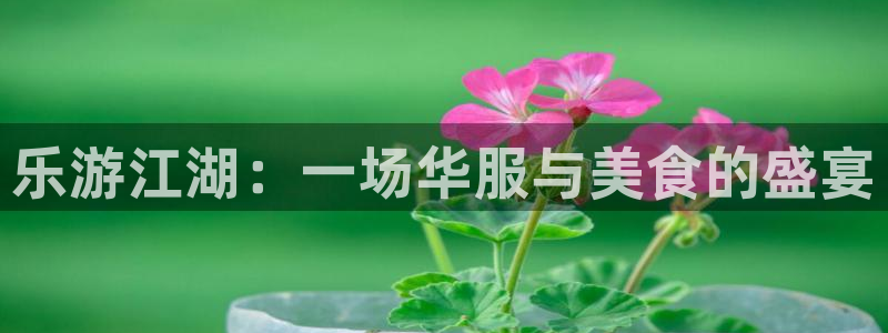 天顺娱乐招商：乐游江湖：一场华服与美食的盛宴