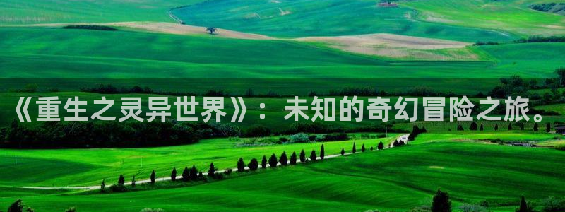 天顺娱乐5招商：《重生之灵异世界》：未知的奇幻冒险之旅。
