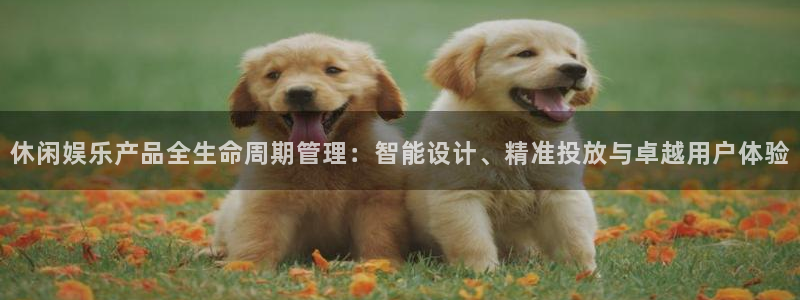 天顺娱乐招商：休闲娱乐产品全生命周期管理：智能设计、精准投放与卓越用户体验
