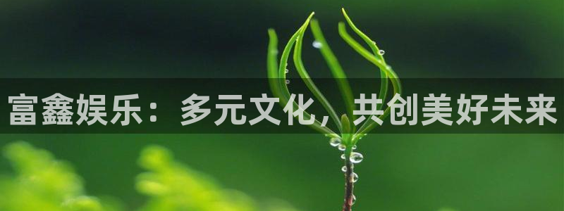 天顺娱乐体育3在线注册：富鑫娱乐：多元文化，共创美好未来